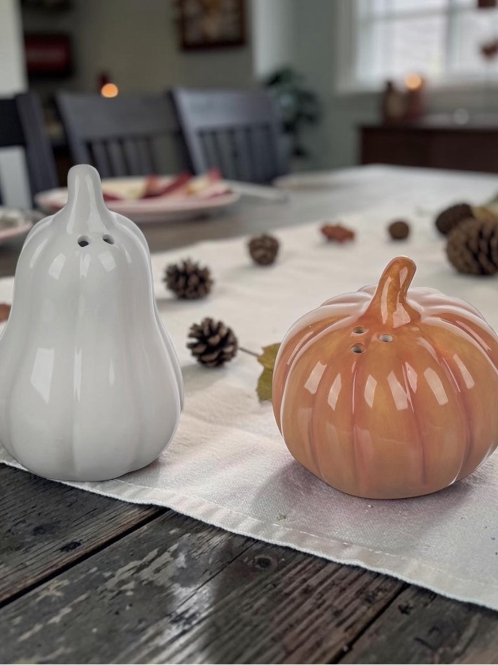 Ceramic Pumpkin & Gourd Salt & Pepper Shaker Set - White & Orange